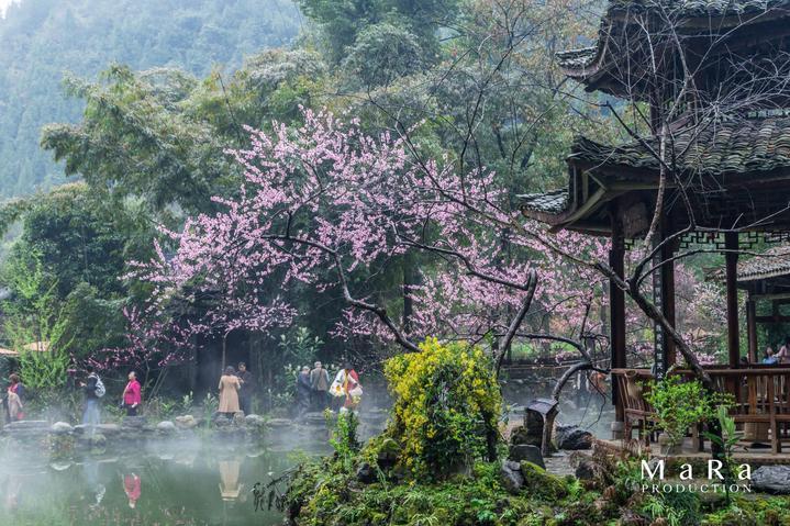 英魂之刃