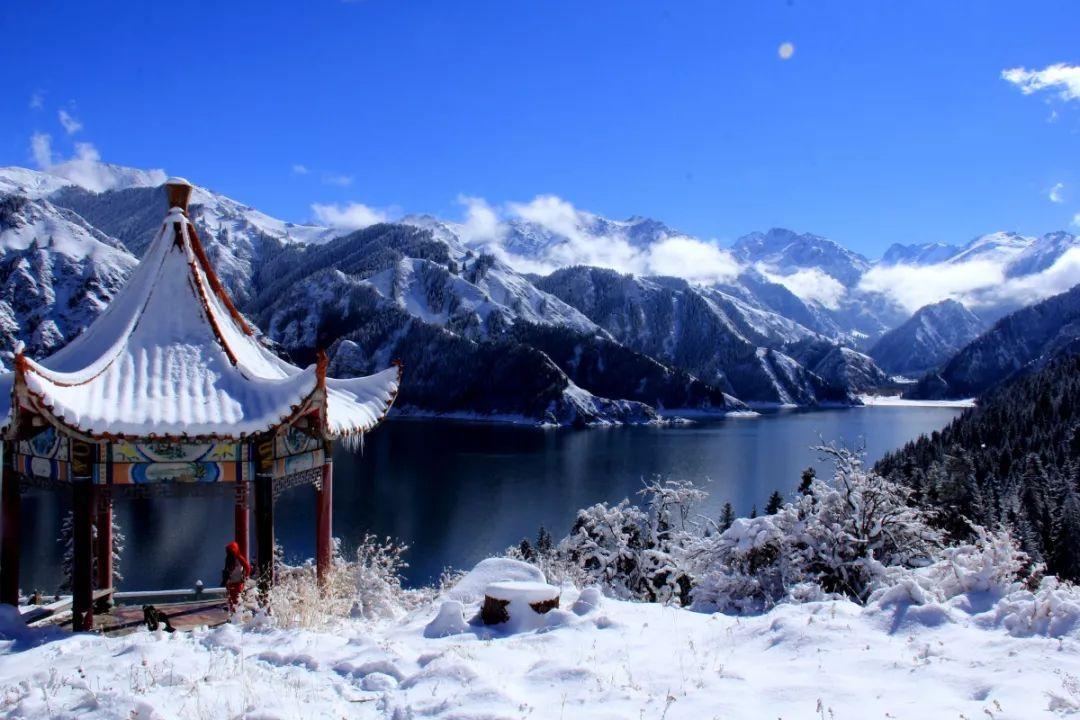 “百花迎新乐中原——2024河南文艺界新春欢乐行”活动走进驻马店启动仪式举行